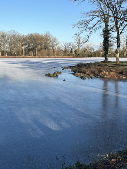 Etang de Neuvillette