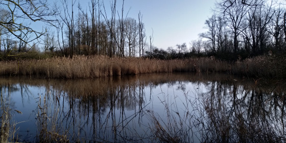 Etang de pêche
