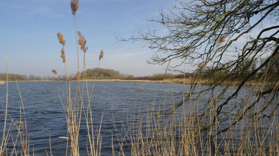Etang de Picard