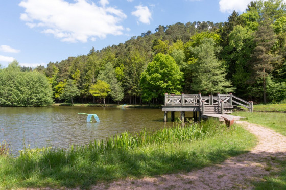 Etang de Pointhaie