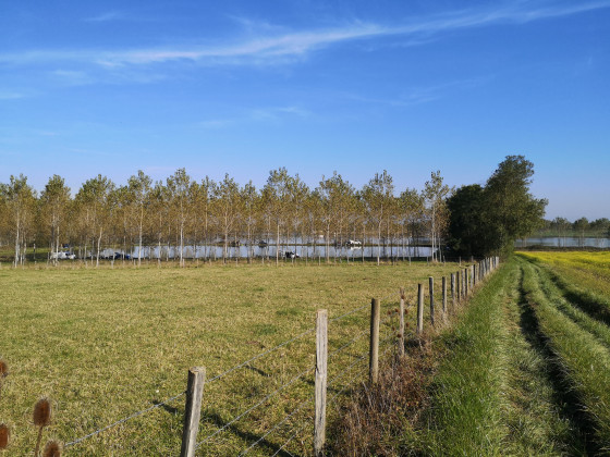 Etang de Pontremble.