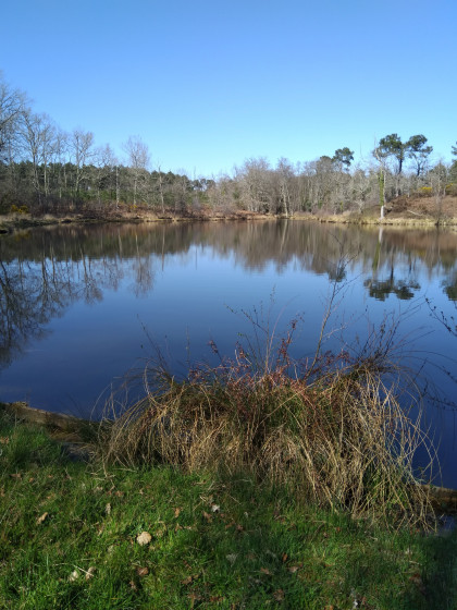 Etang de Pouydesseaux