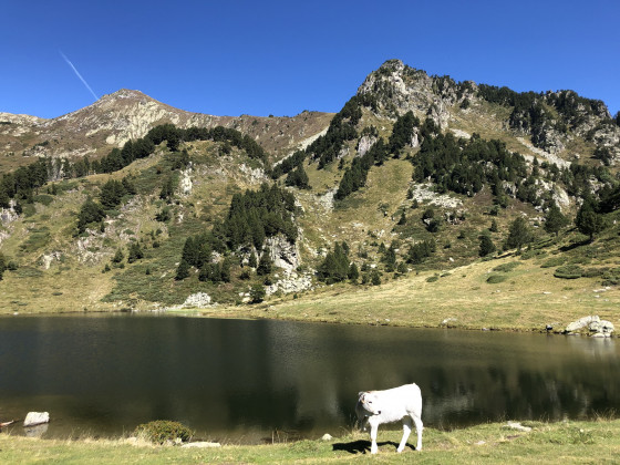 Etang de Rabassoles