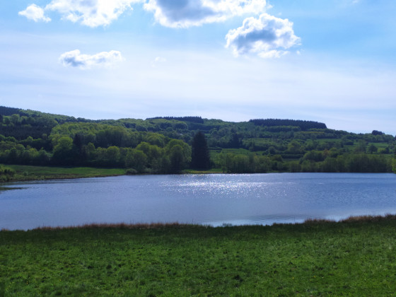 Etang de Rangère