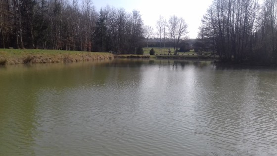Etang de Renaucourt