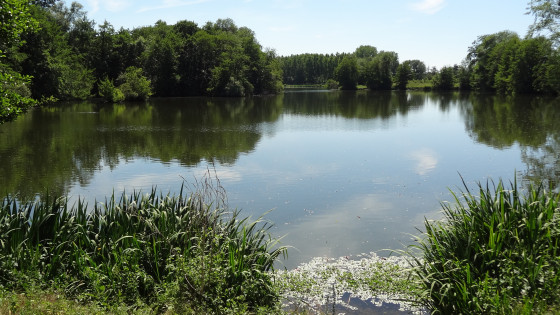 Étang de Saint Lubin