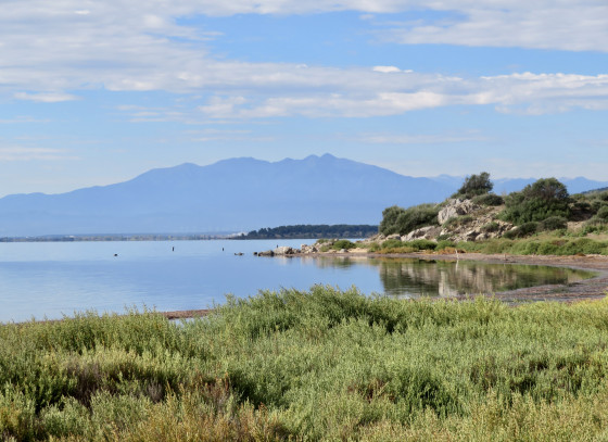 Étang de Salses-Leucate