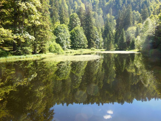 Etang de Séchemer
