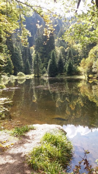 Etang de Sèchemer