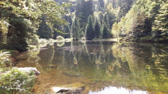 Etang de Sèchemer