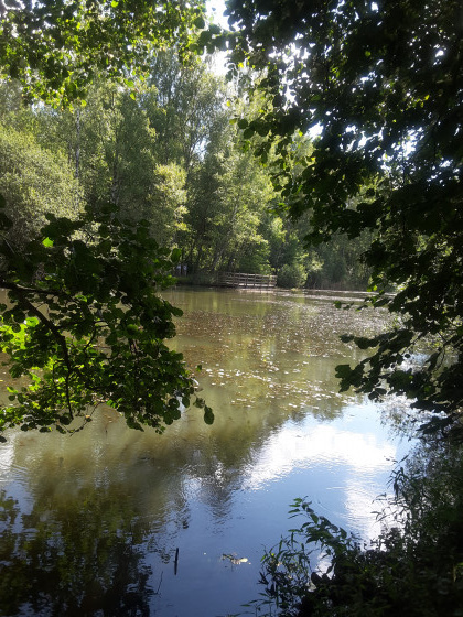 Etang de Tattert