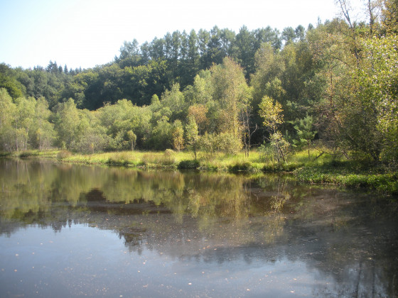 étang de Vaux