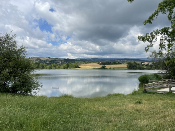 Etang de Vidrieux