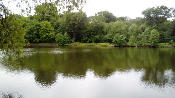 &Eacute;tang de Villebon