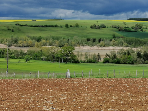 étang de Wuisse (en période d'assec)