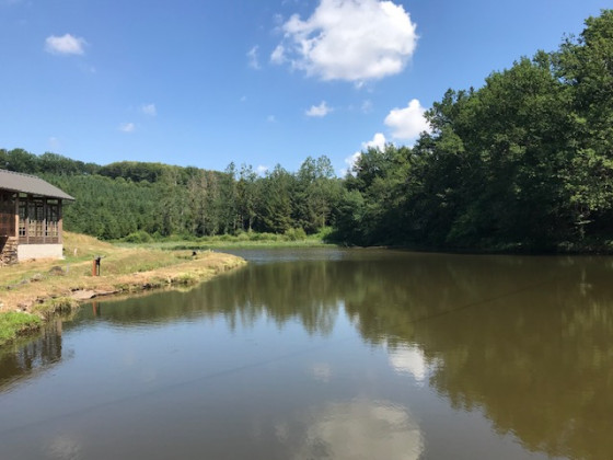 Etang derrière le moulin de Mazzel