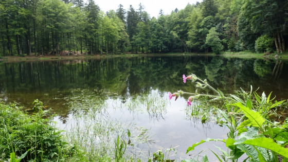 Etang des Belles Filles