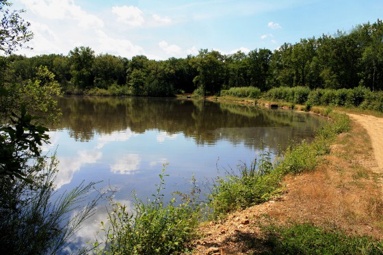 Etang des Blondeaux