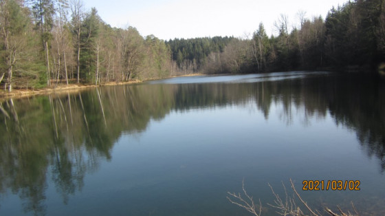 Etang des Cerisiers