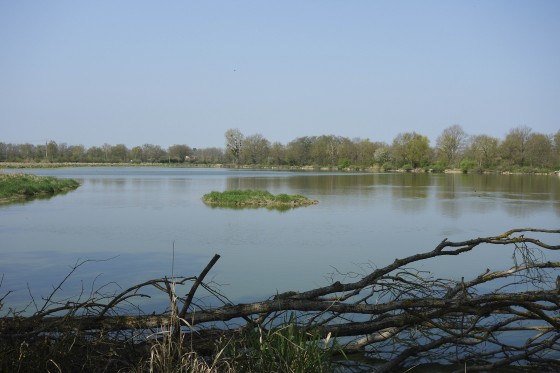 Etang des Dombes
