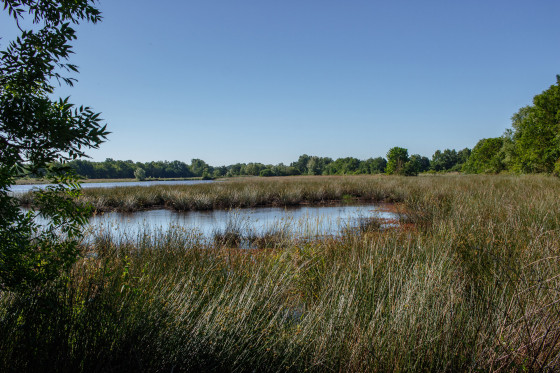 Etang des Epansardières