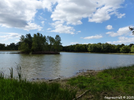 Etang des Essarts
