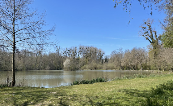 Etang des Fontaines bouillantes