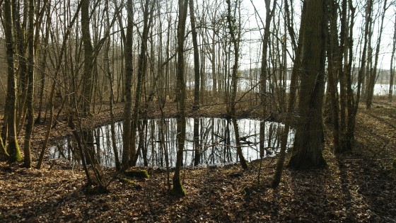 Etang des Grandes Parois