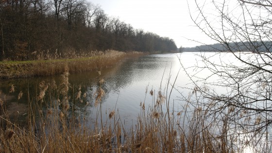 Etang des Grandes Parois