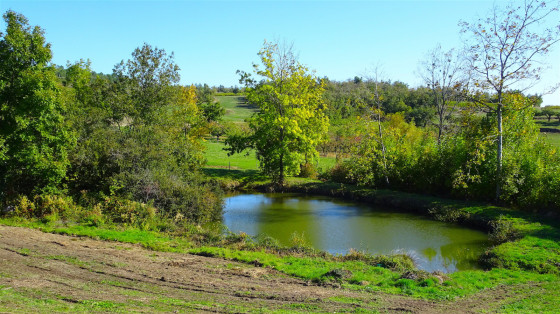Etang des Grands Prés