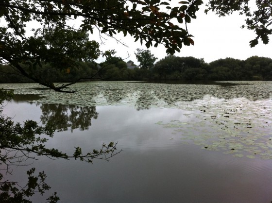 Etang des Moli&egrave;res