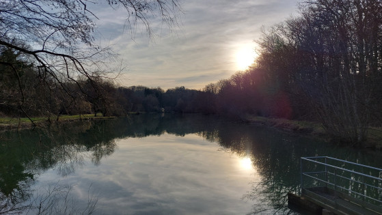 Etang des princes