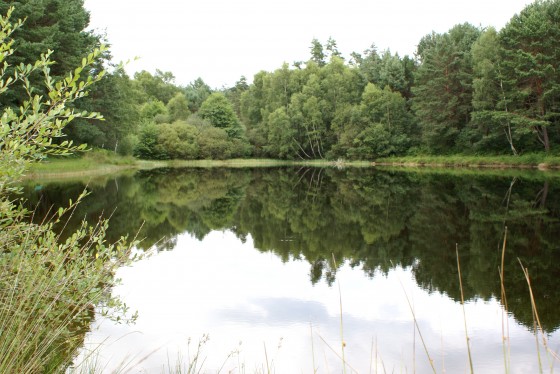 Etang des Ramandes