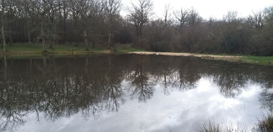 Etang des Reppes