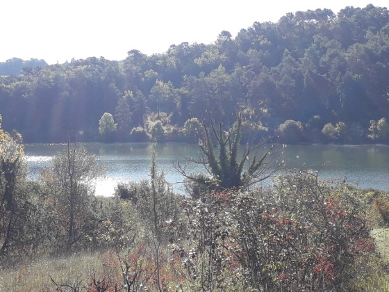 Etang des Roziers
