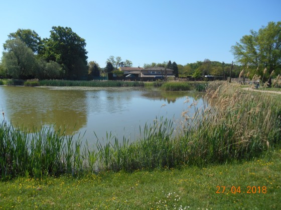Etang des salines