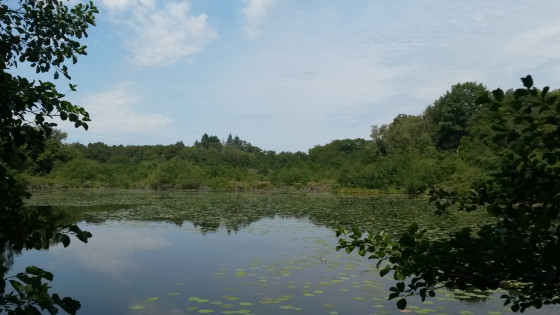 Etang du Burdoux
