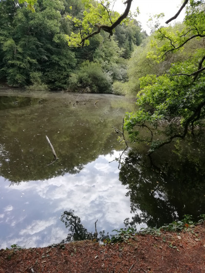 Etang du château de Munhorre