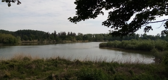 Étang du Corra