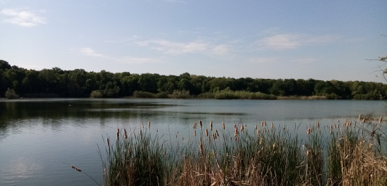 Étang du Corra