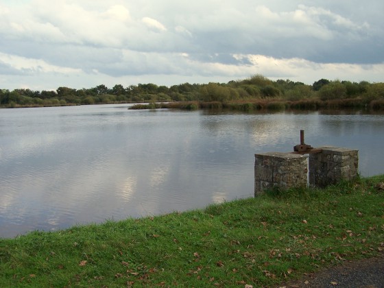 Etang du Coudray