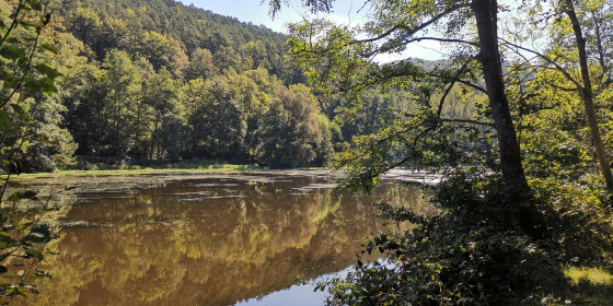 Etang du Fleckenstein