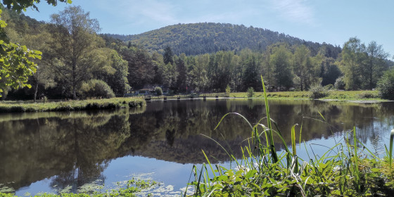 Etang du Fleckenstein