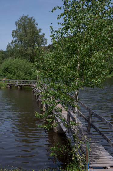 Etang du Fleckenstein
