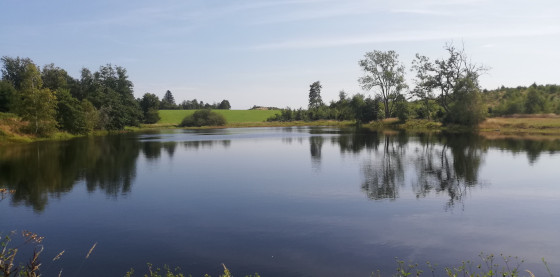 Étang du Frai