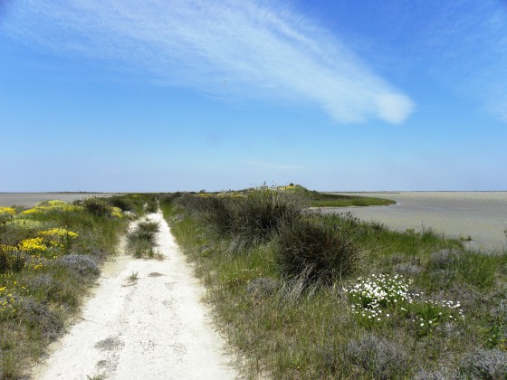 Etang du Galabert