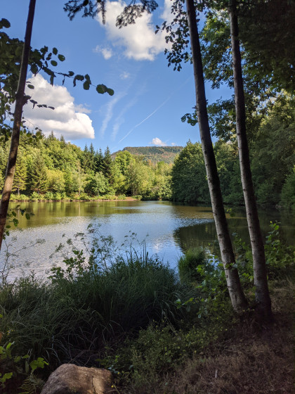 Etang du Grand Rosbeck