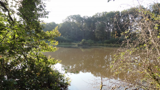 Etang du Mazuray