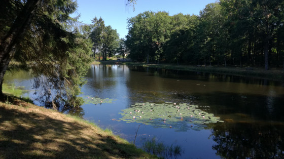 Etang du Merle