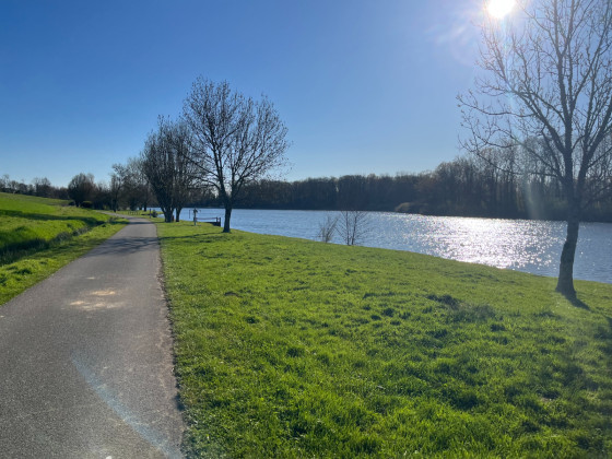 Etang du milieu